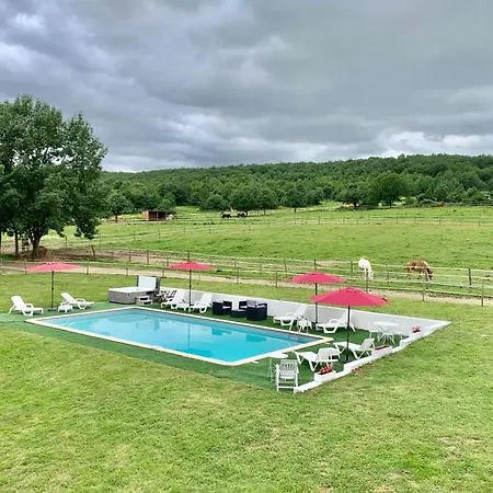 Du Domaine Du Cheval D Argent *